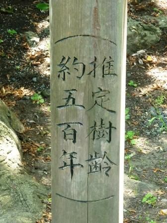 イメージ 6