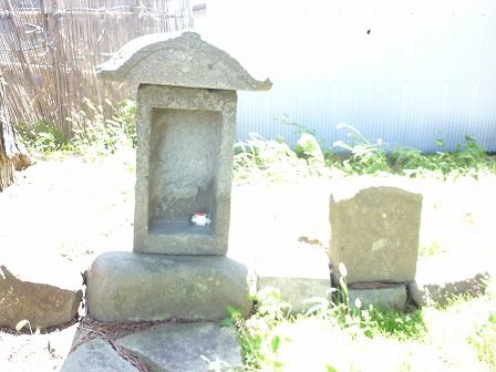 イメージ 24