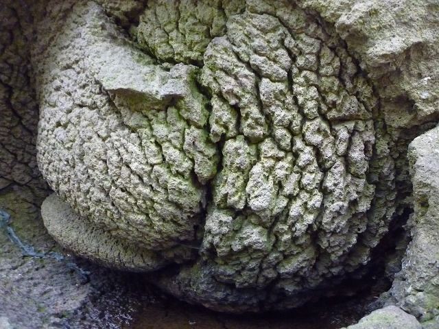 イメージ 84