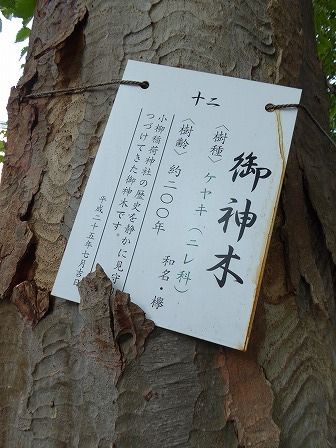 イメージ 22