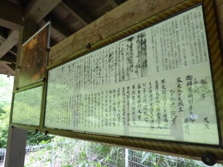 イメージ 16