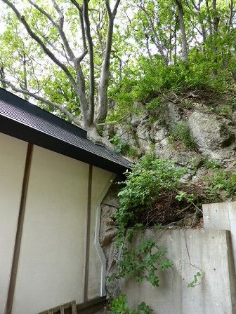 イメージ 19