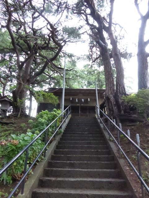 イメージ 7