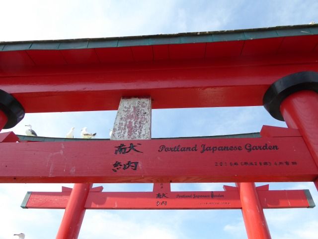 イメージ 18