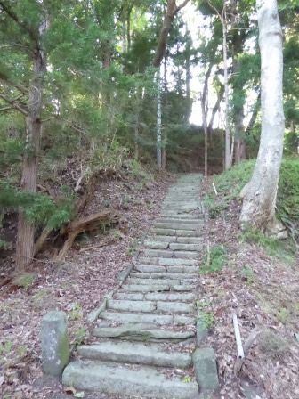 イメージ 15