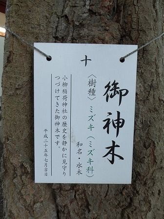 イメージ 16