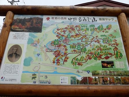 イメージ 5