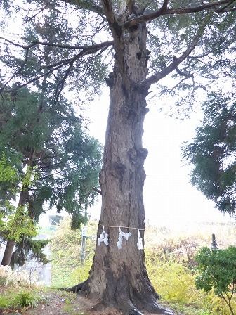 イメージ 47