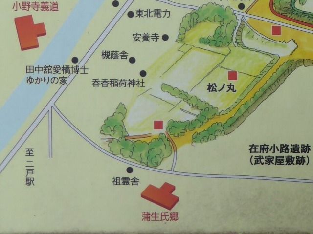 イメージ 5