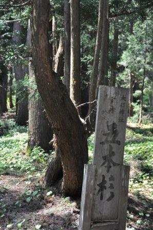 イメージ 13