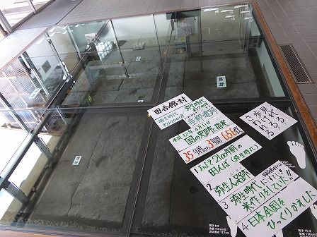 イメージ 55
