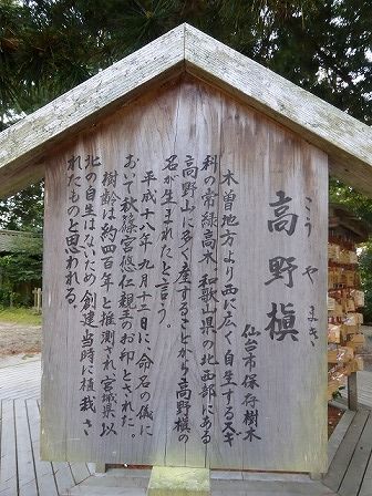 イメージ 59