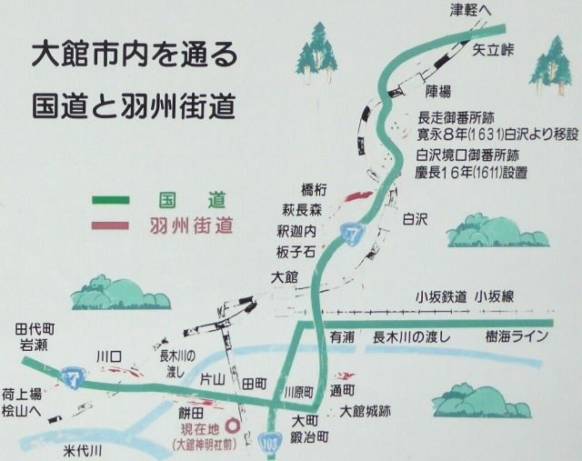 イメージ 5