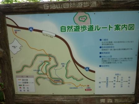 イメージ 8