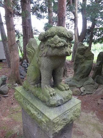 イメージ 7