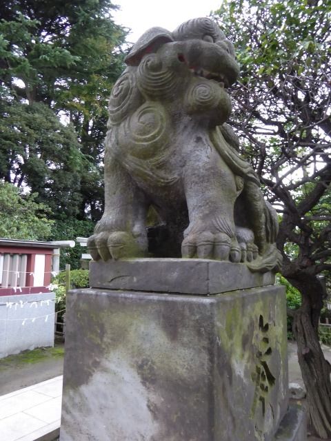 イメージ 15