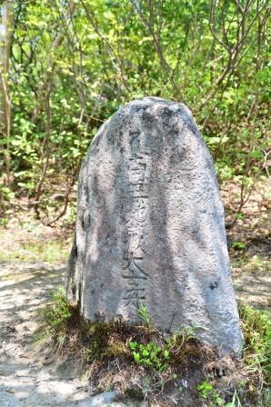 イメージ 10