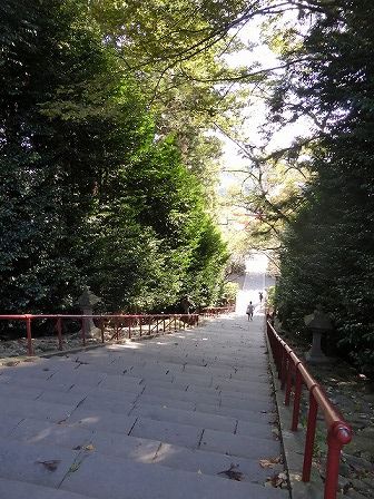 イメージ 19