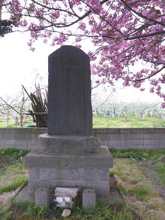 イメージ 18