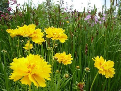 6.7