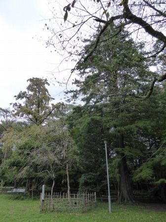 イメージ 21