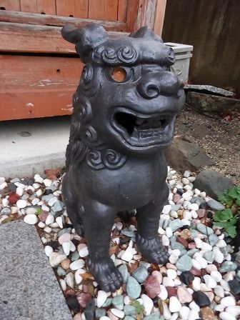 イメージ 8