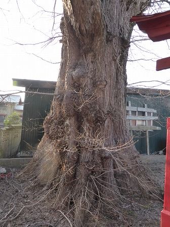 イメージ 18