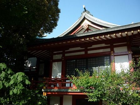 イメージ 8