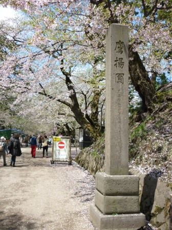 イメージ 19