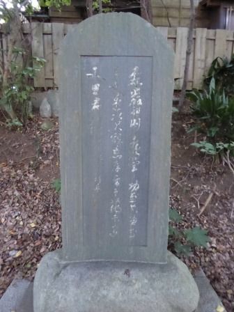 イメージ 19