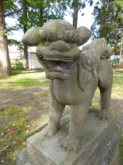 イメージ 22