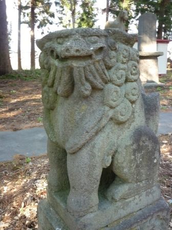 イメージ 10