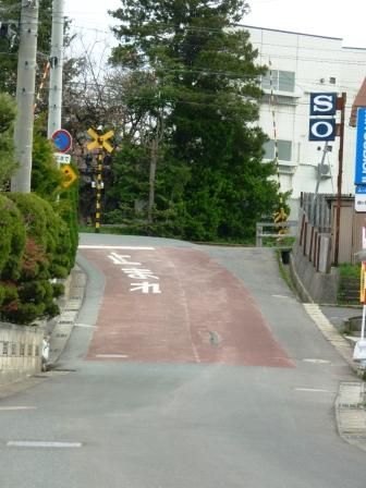 イメージ 14
