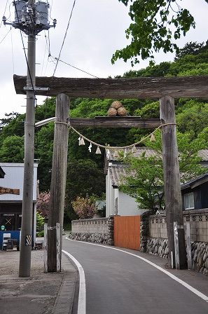 イメージ 6