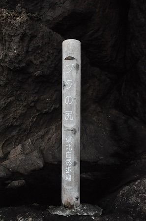 イメージ 52