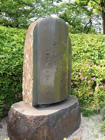 イメージ 49