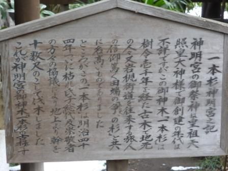イメージ 15