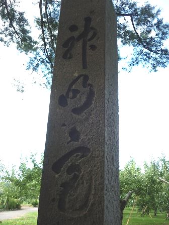 イメージ 4
