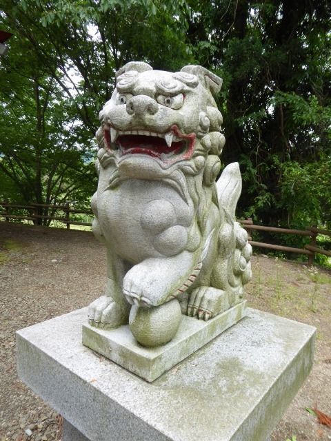 イメージ 7