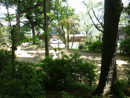 イメージ 13