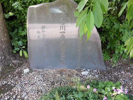 イメージ 52