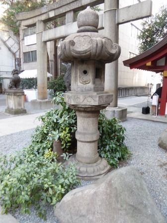 イメージ 7
