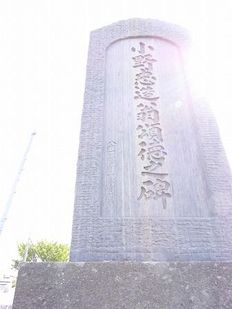 イメージ 13
