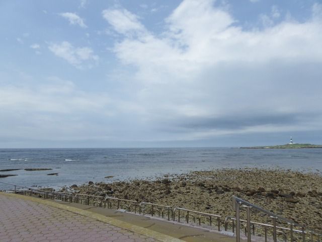 イメージ 15