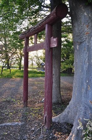 イメージ 13