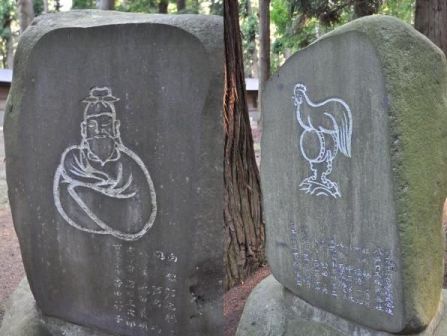 イメージ 41