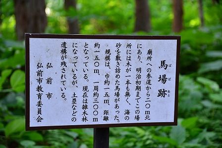 イメージ 10