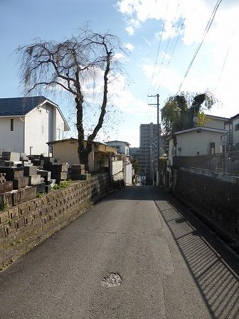 イメージ 5