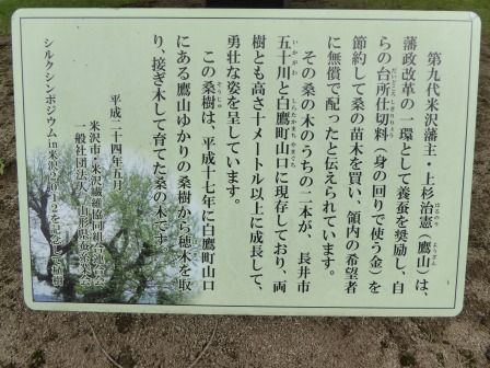 イメージ 10