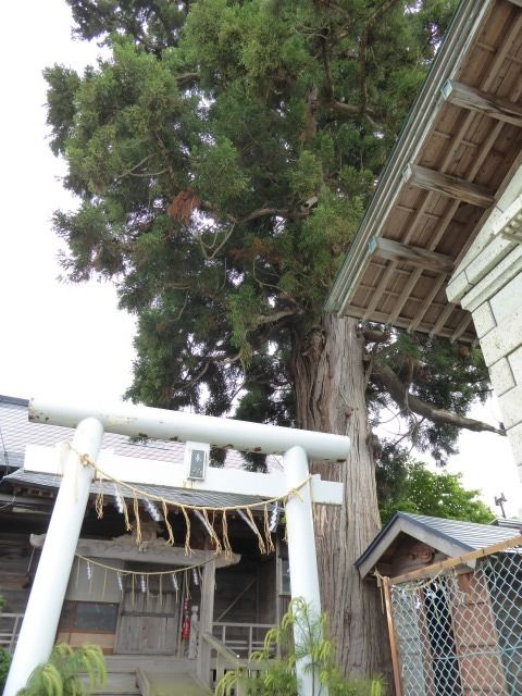 イメージ 10
